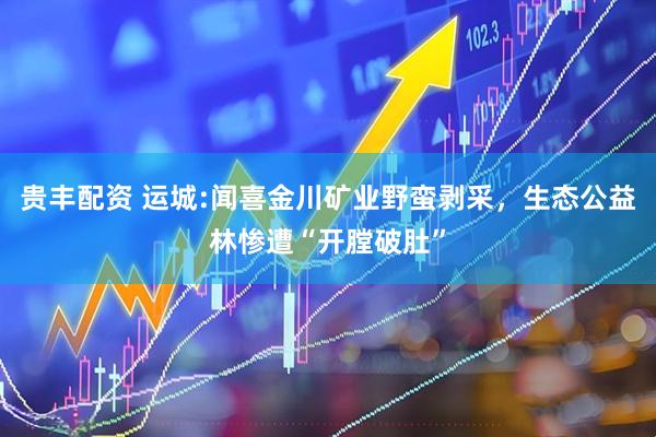 贵丰配资 运城:闻喜金川矿业野蛮剥采，生态公益林惨遭“开膛破肚”