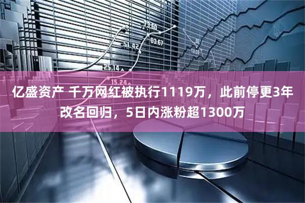 亿盛资产 千万网红被执行1119万，此前停更3年改名回归，5日内涨粉超1300万