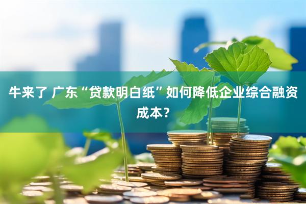牛来了 广东“贷款明白纸”如何降低企业综合融资成本？